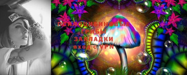 PSILOCYBIN Верхний Тагил