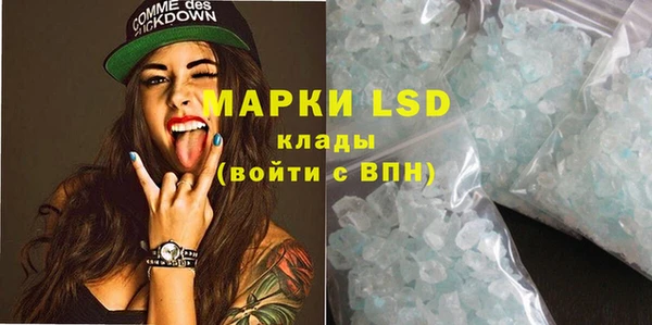 PSILOCYBIN Верхний Тагил